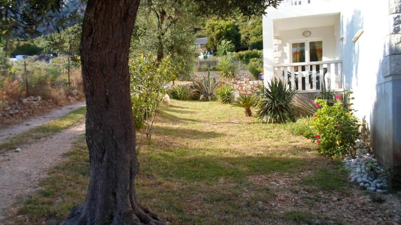Baric Apartment