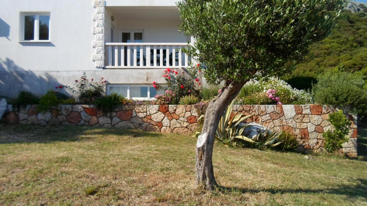 Apartament Baric Kuciste